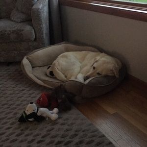 Meet your Posher, Denise